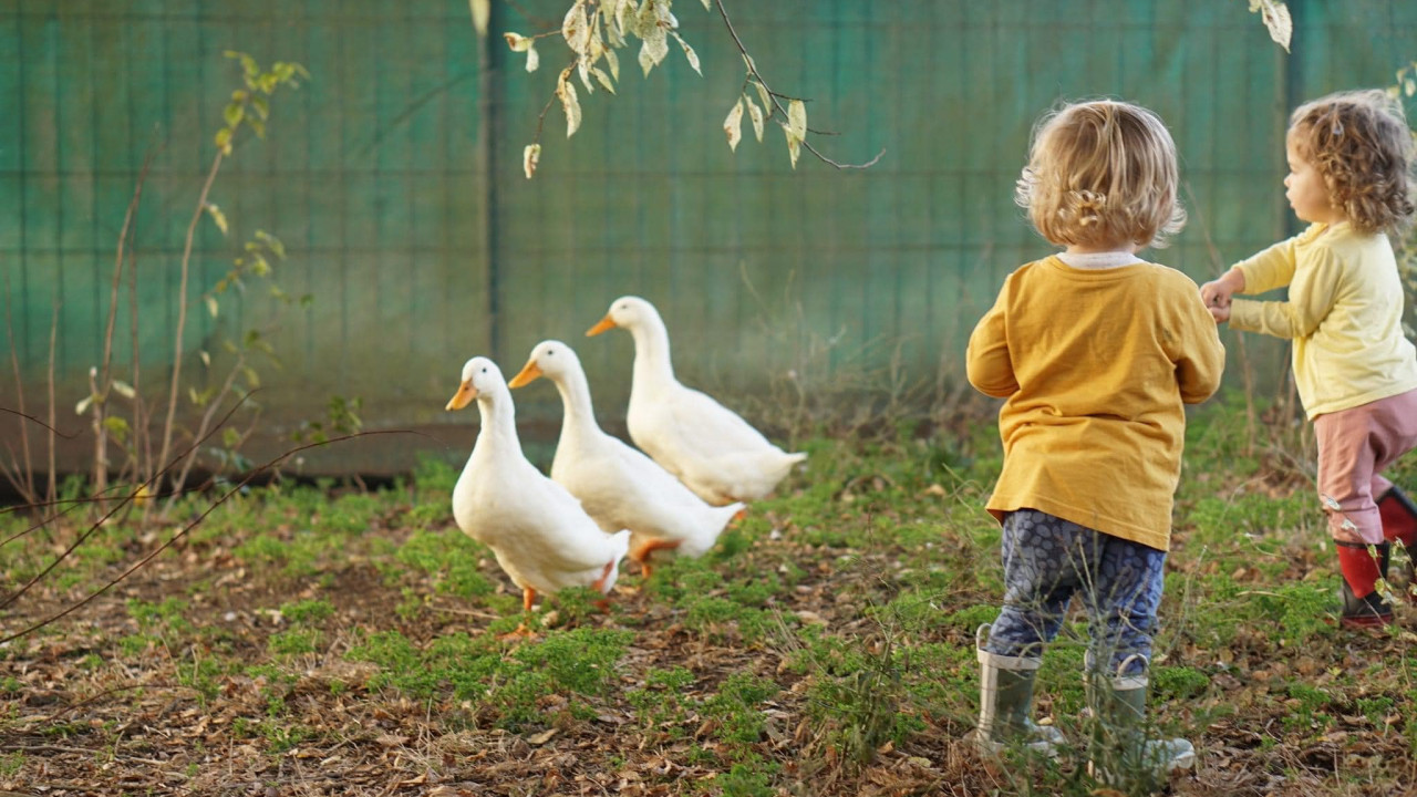 Busy Bees Swayne Road, Queen Street, Leamington, Cambridge Childcare