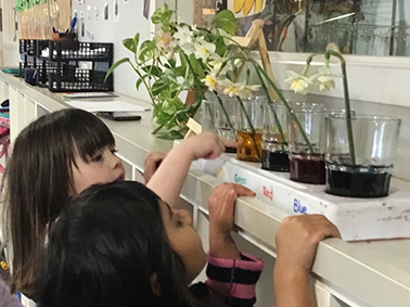 Children exploring science and nature