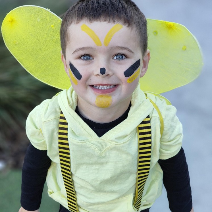 Busy Bees Aoraki Dressing up as bees