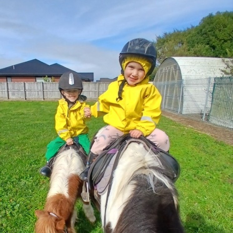 Child engagement with animals at Busy Bees Cambridge Early childhood care centre