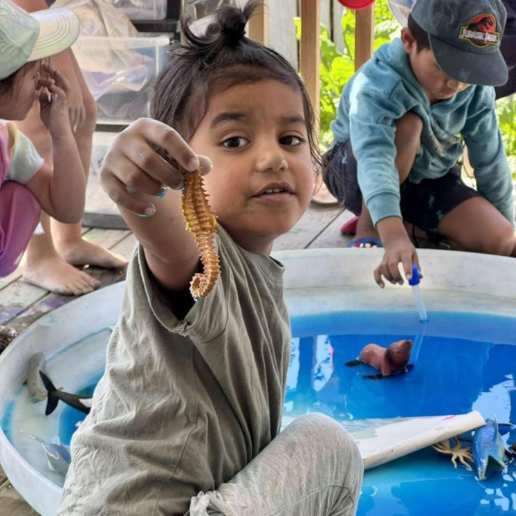 Busy Bees Dargaville playing with sea animals