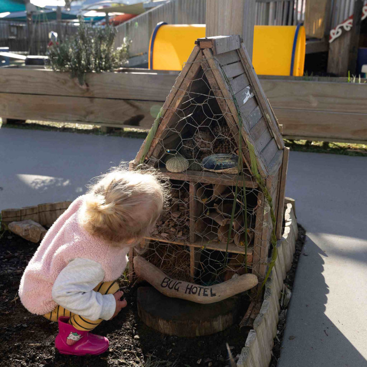 Caring for Nature at Busy Bees Dargaville 