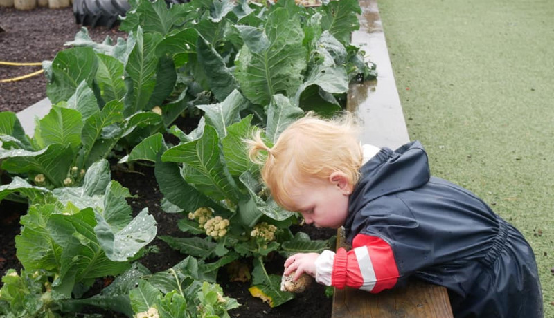 Caring for the environment at Busy Bees Gladstone Road