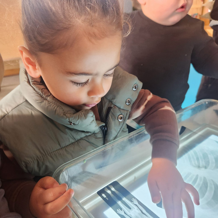 Busy Bees Gladstone Road learning about the human body with lightboxes