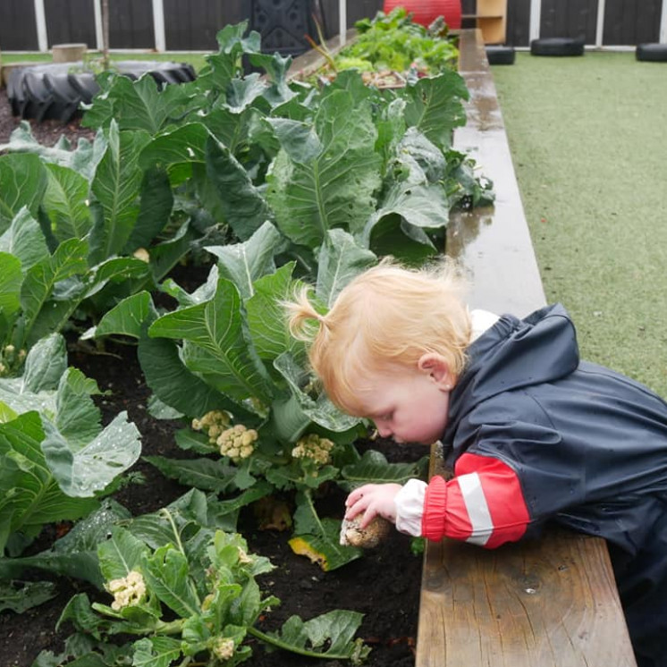 Care, nurturing and learning about the environment at Busy Bees Gladstone Road