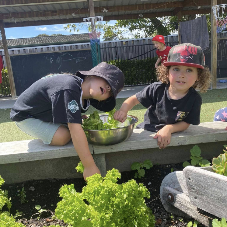 Friends picking lettuce for mealtime at Busy Bees Gladstone Road