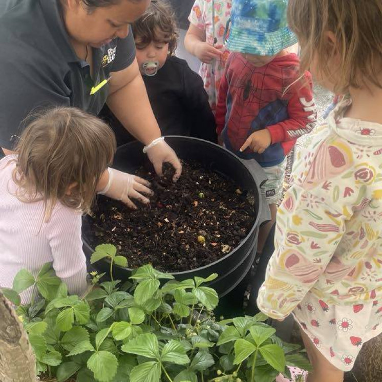 Busy Bees Gladstone Road learning about sustainability, worm farm