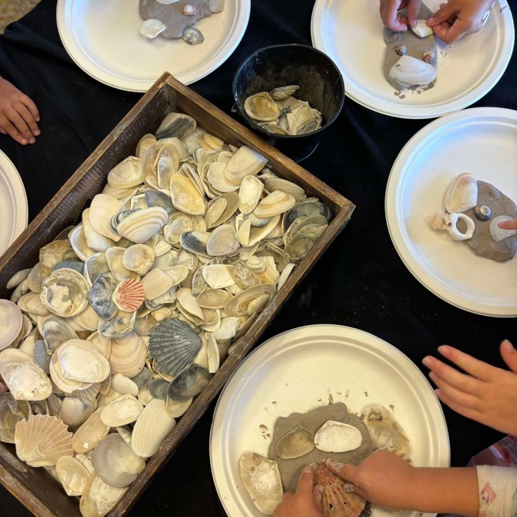 Seashell Activity
