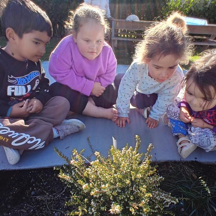 Busy Bees Grandview Road outdoor plant exploration