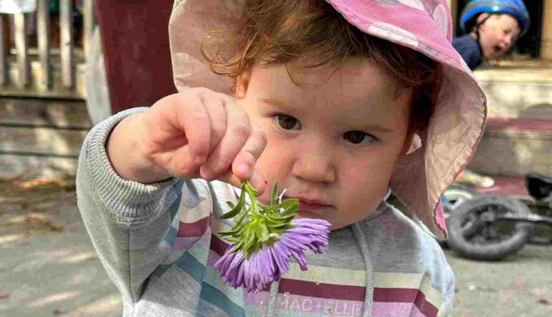 Babies in childcare at Busy Bees Greytown