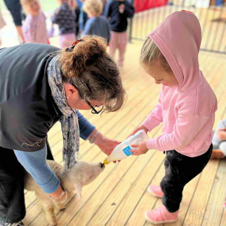 Caring for baby animals in our daycare at Busy Bees Greytown