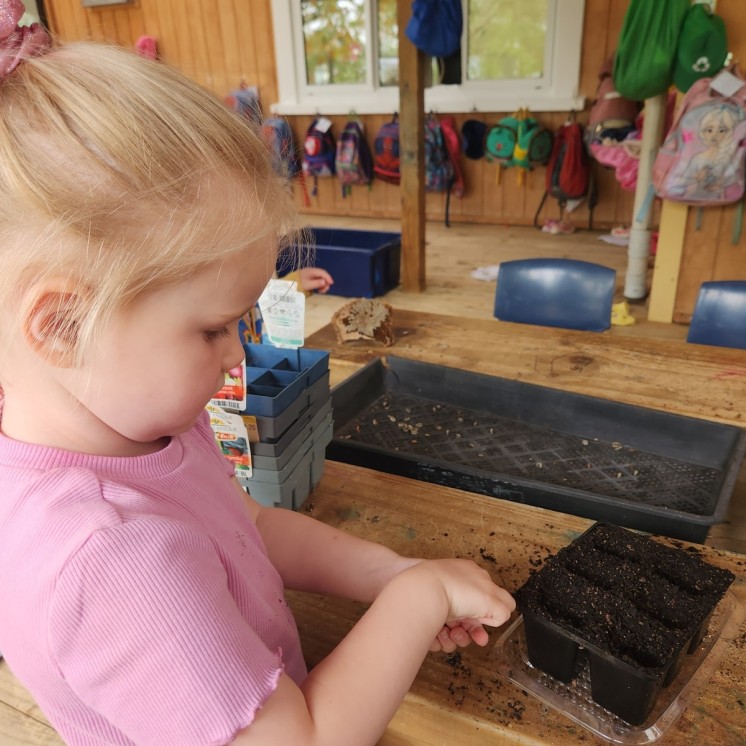 Busy Bees Greytown childcare centre toddlers outdoor planting activities