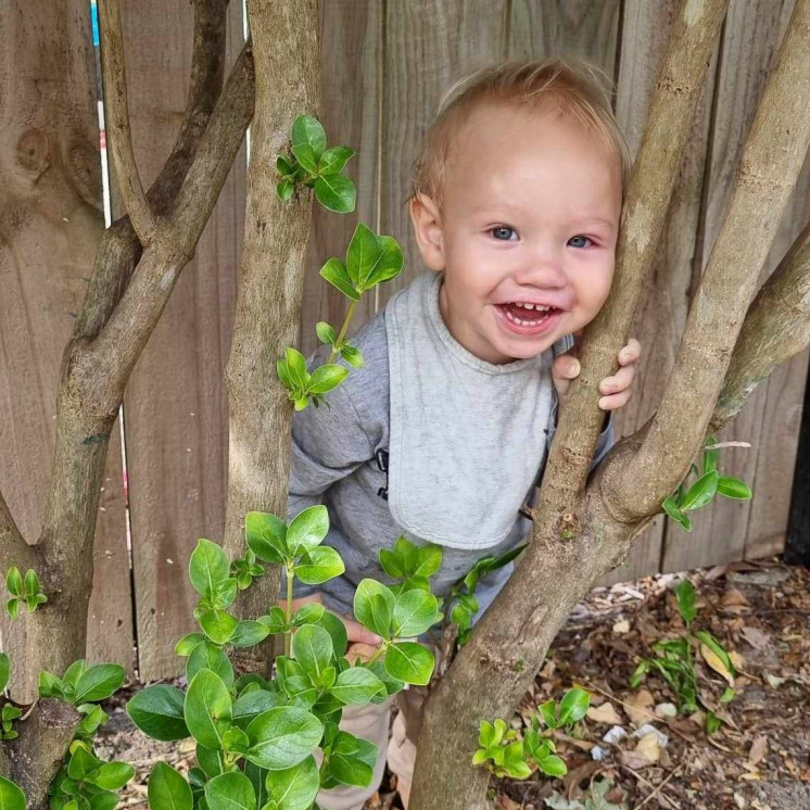 Boy playing peek a boo at Busy Bees Havelock North