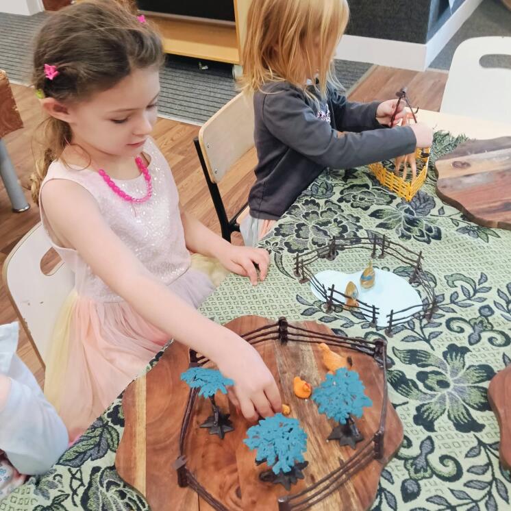 Busy Bees Havelock North Early Childcare centre (14)
