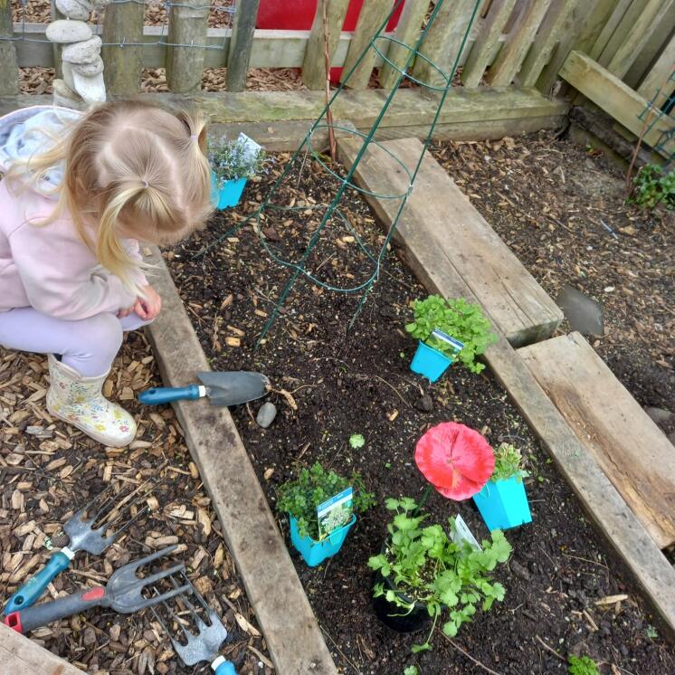 Busy Bees Havelock North Early Childcare centre (1)