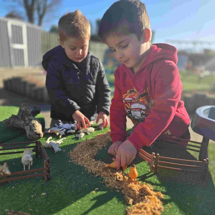 Preschool tamariki Cognitive & Knowledge Development at judsons road 