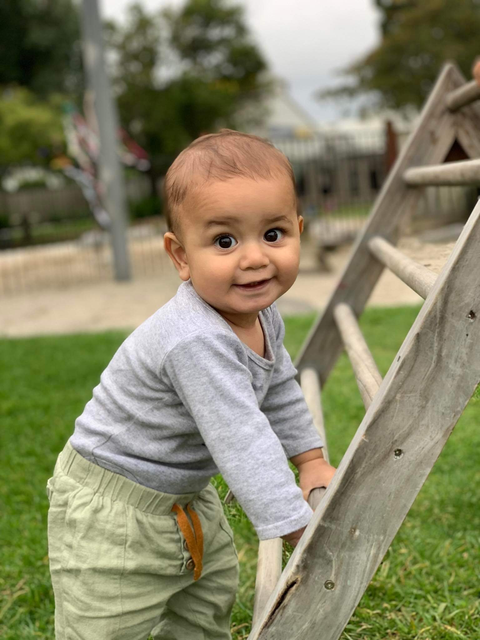 Busy Bees Busy Bees Katikati