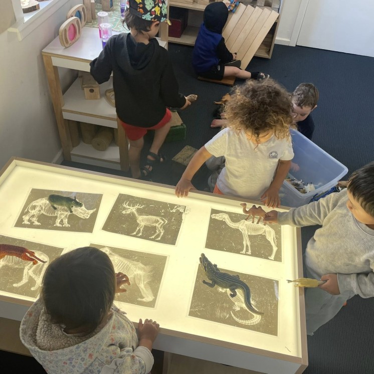 Busy Bees Katikati childcare light table play