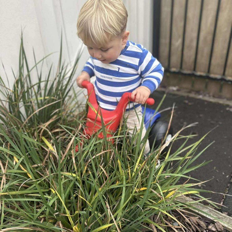 Boy playing outside
