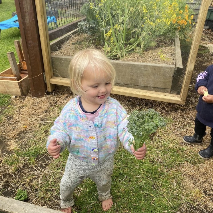Busy Bees Kerikeri Nursery picking veggies