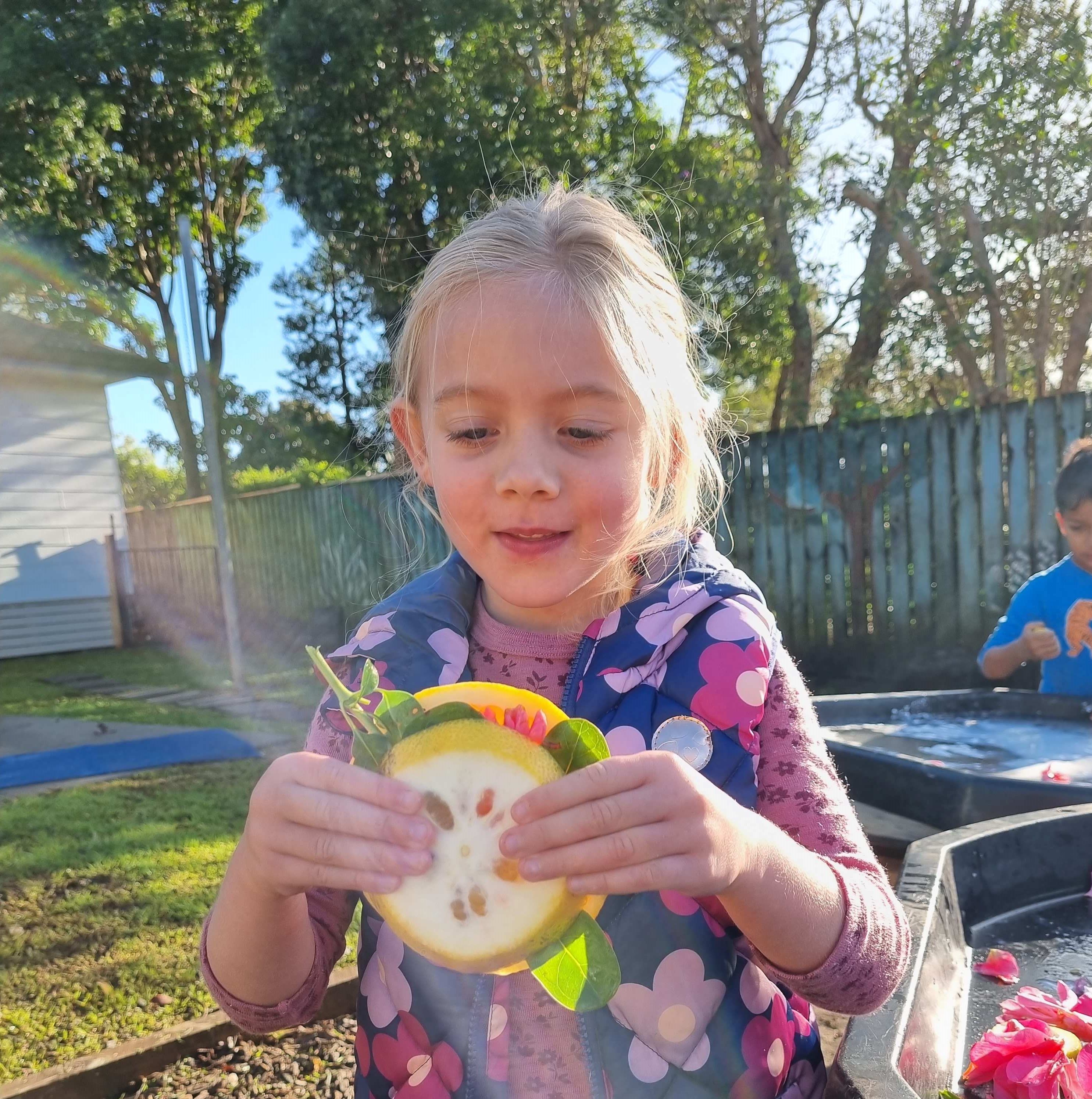 Busy Bees Busy Bees Kerikeri Preschool