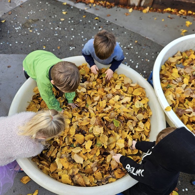 Busy Bees Manchester St hide an seek in leafs