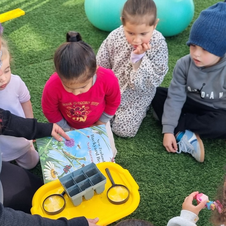 Busy Bees Mangakakahi learning about bugs