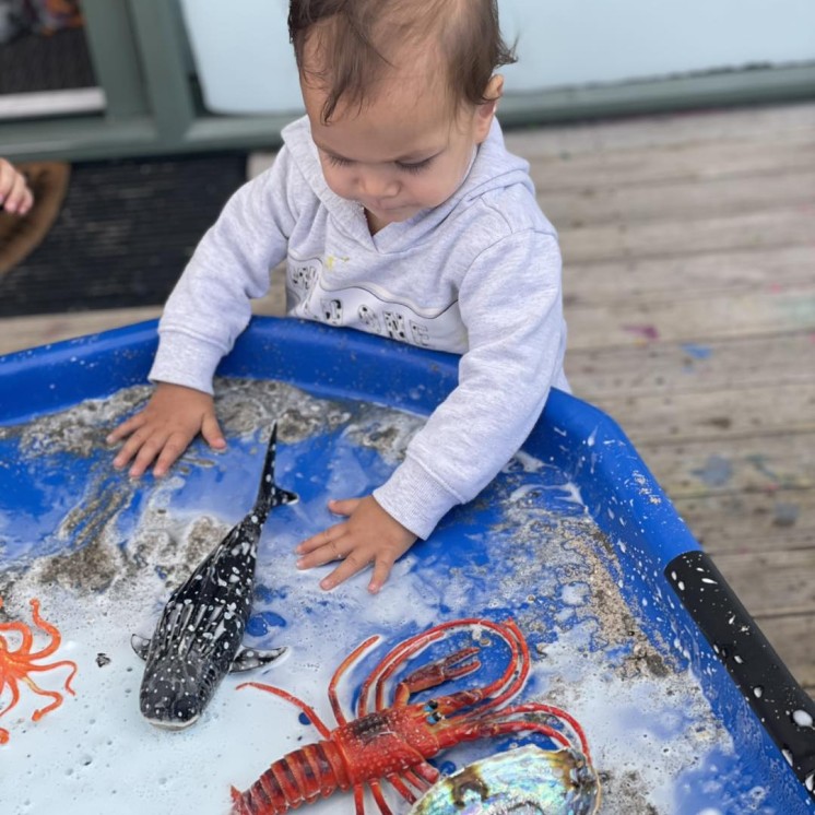 Busy Bees Mangakakahi playing with sea creatures