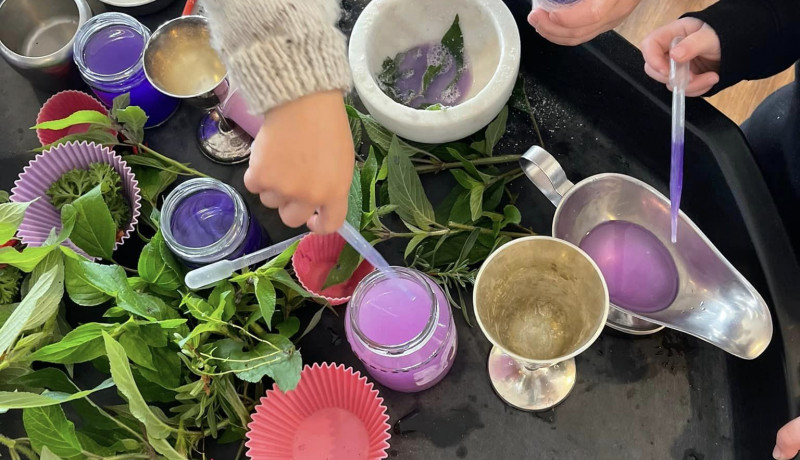 Play and learning through nature at BusyBees Martinborough