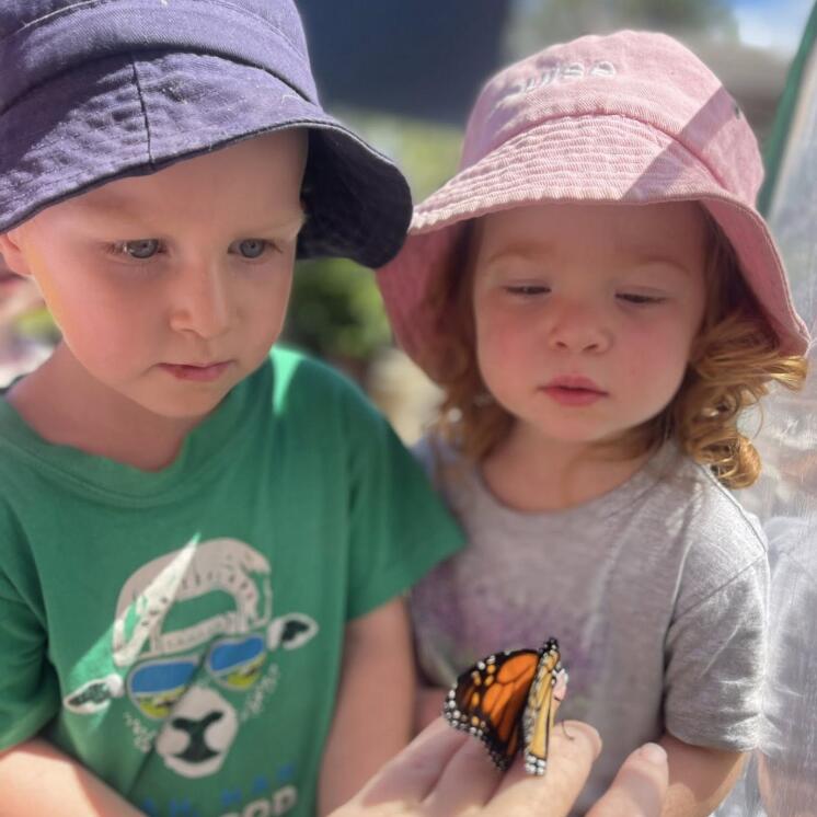 Busy Bees Martinborough Early childcare centre (7)