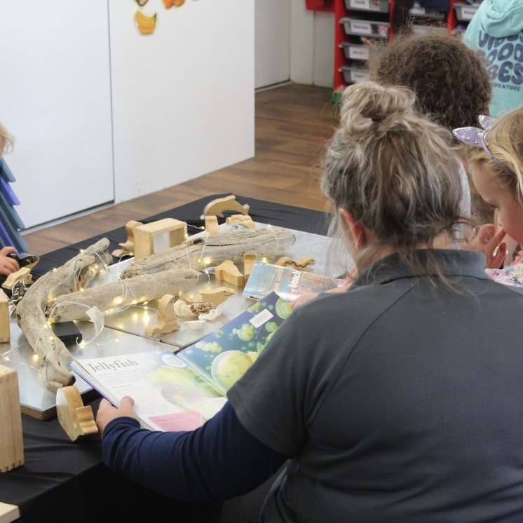 Busy Bees Martinborough early childcare centre 5