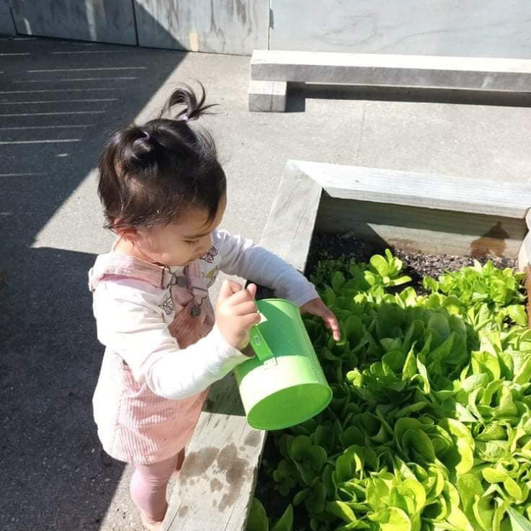 Learning about Nature at Busy Bees Motueka