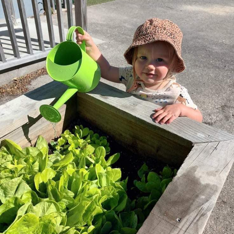 Outdoor nature garden in Busy Bees Motueka