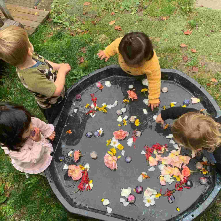 Beautiful set ups with petals and water for babies to discover at Busy Bees Motueka Childcare