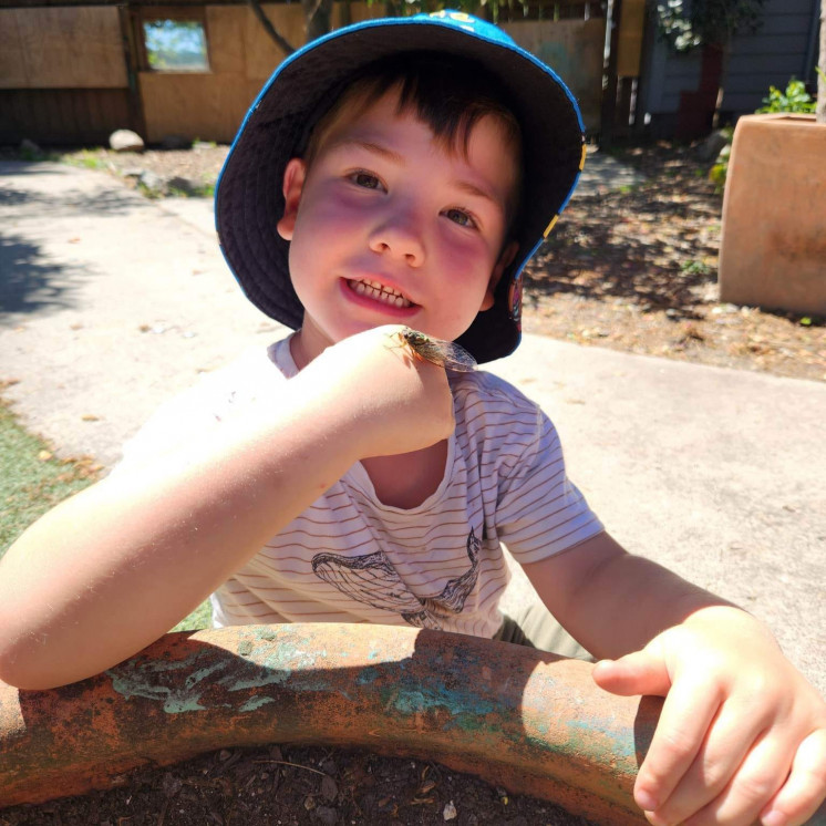 Boy with cicada on his hand during summer at Busy Bees Motueka Childcare