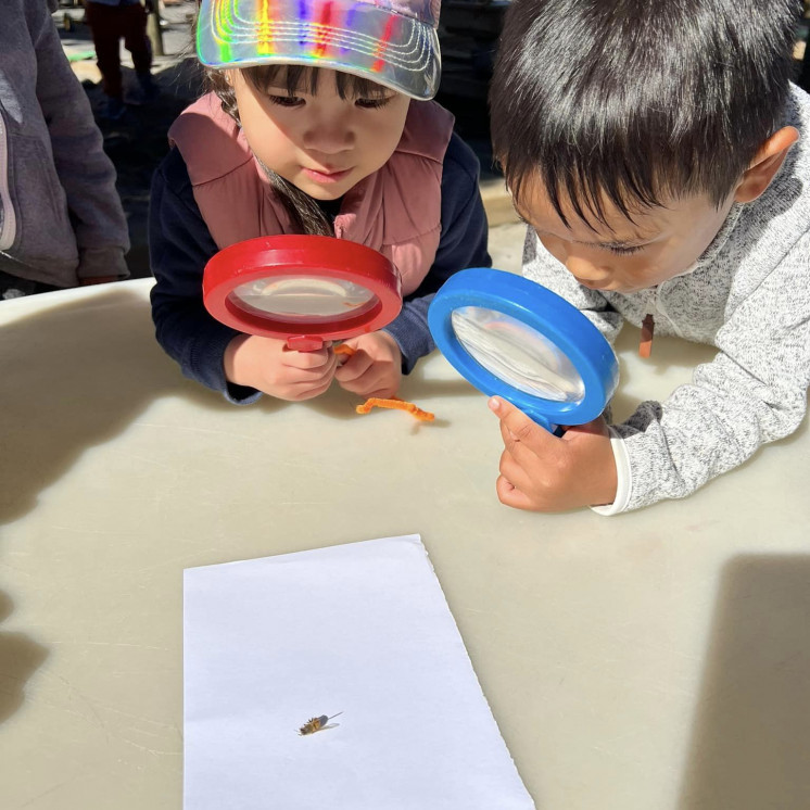 Discovery, nature and friendships at Busy Bees Mount Wellington Childcare