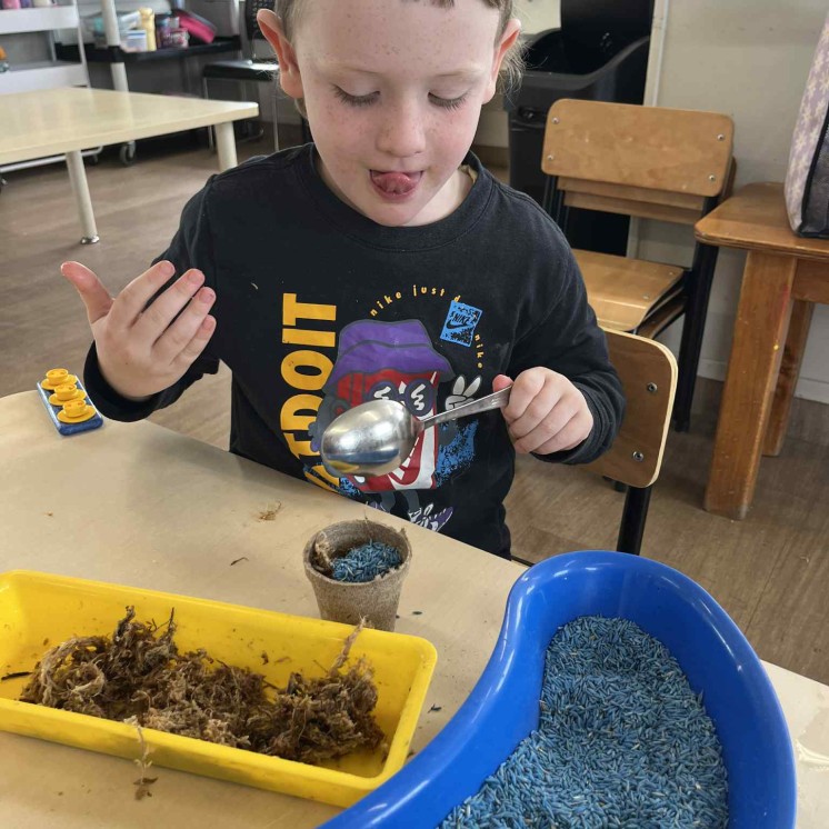 Busy Bees Napier Road nature based learning and creating