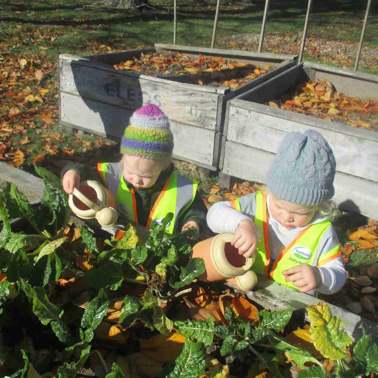 Toddlers gardening and harvesting at Busy Bees Ngongotahā 