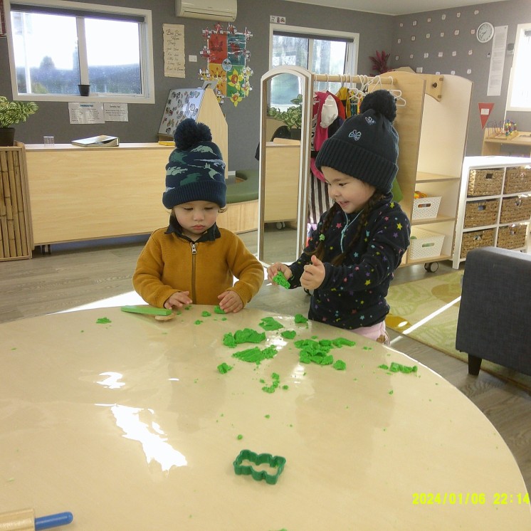 Busy Bees Ngongotaha playdough fun
