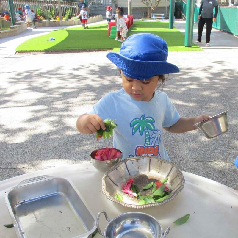 Preschool Boy outdoors at Busy Bees Otahuhu 