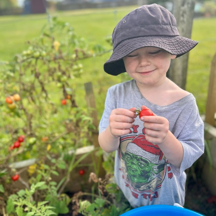 BusyBees Ruakaka boy picking veggies from garden