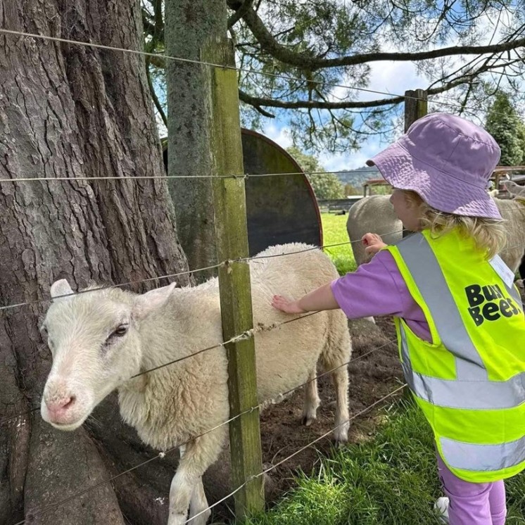 Busy Bees excursions farm animals nature childcare