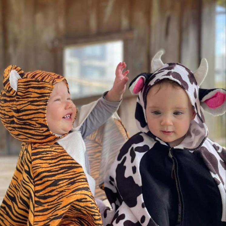 Busy Bees excursions farm animals nature childcare