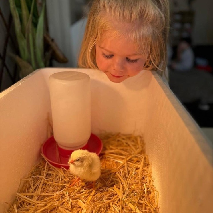 Little girls baby chick animals nature growth learning