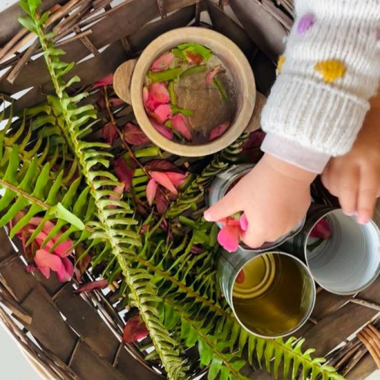 Natural resources nature play childcare