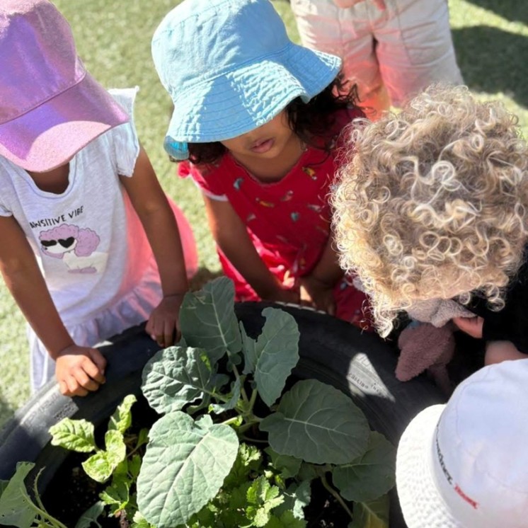 Outdoor nature gardening learning growing childcare children
