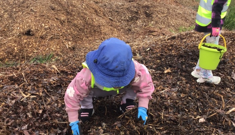 Excursion Greening Taupo
