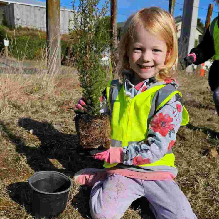 Garden restoration for taupo 