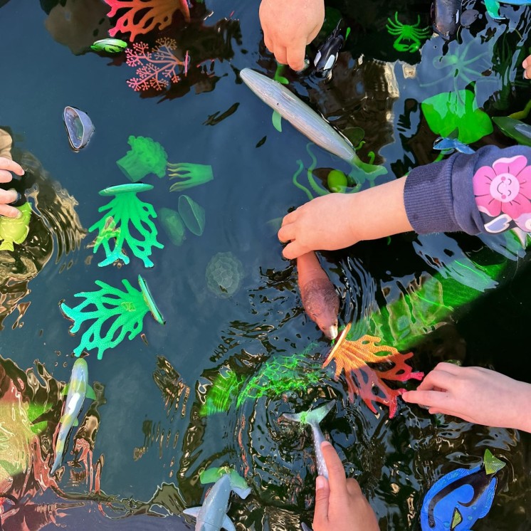 Busy Bees Te Kauwhata activities set up for children's interests