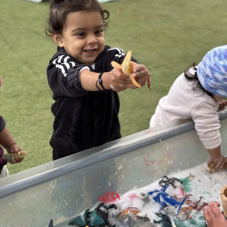 Busy Bees Te Rapa playing with sea creatures